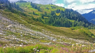 The view from a water source, looking back at the Pacific Crest Trail in Washington